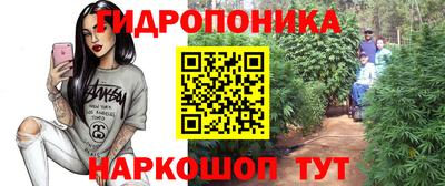 амф Заволжье