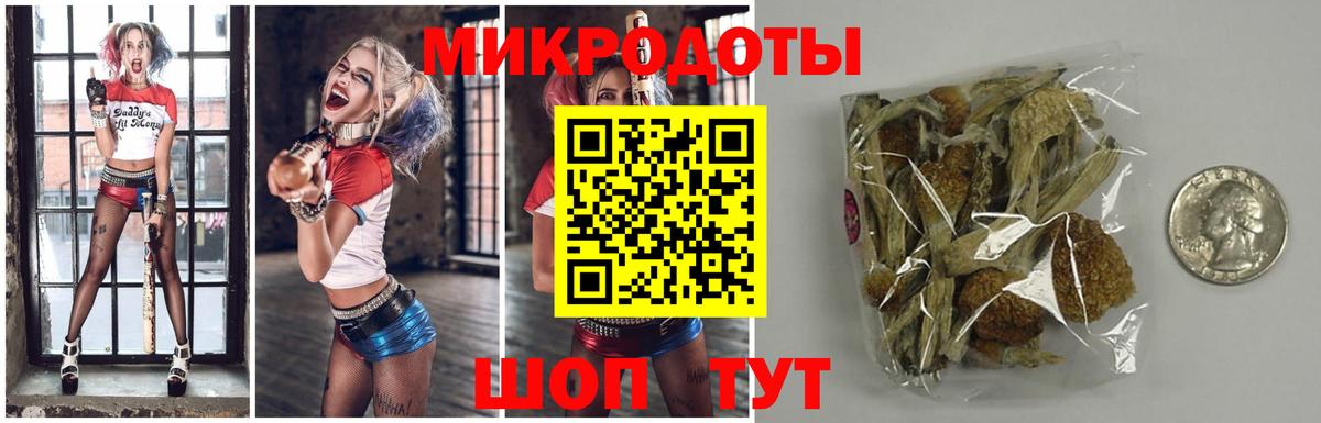 Галлюциногенные грибы прущие грибы  Вход с VPN  Назрань 